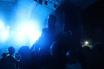 Gallery image 59