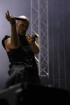 Gallery image 36