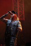 Gallery image 44