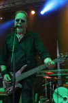 Gallery image 48