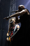 Gallery image 31