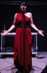 Gallery image 21