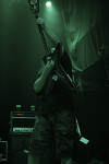 Gallery image 28
