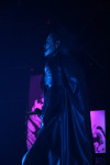 Gallery image 53