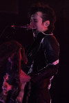 Gallery image 28