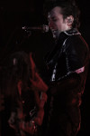 Gallery image 22