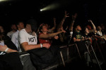 Gallery image 36