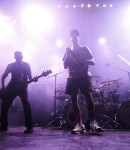 Gallery image 21