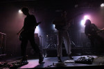 Gallery image 50