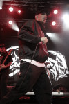 Gallery image 50