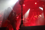 Gallery image 38