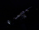 Gallery image 28