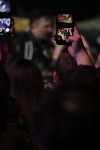 Gallery image 101