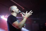 Gallery image 12