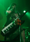 Gallery image 13