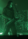 Gallery image 39