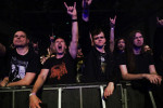 Gallery image 35
