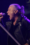 Gallery image 28