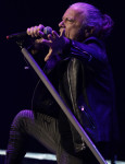 Gallery image 10