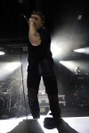 Gallery image 21