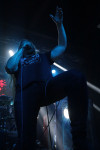 Gallery image 11