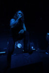 Gallery image 37