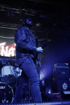 Gallery image 30
