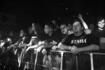 Gallery image 69
