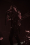 Gallery image 21
