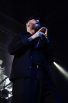 Gallery image 29