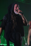 Gallery image 29
