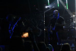 Gallery image 51