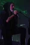 Gallery image 52