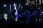 Gallery image 56