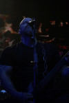 Gallery image 38