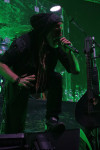 Gallery image 38