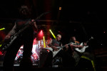 Gallery image 39