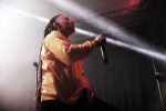 Gallery image 20