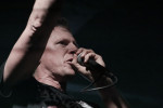 Gallery image 35