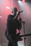 Gallery image 20