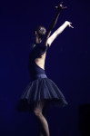 Gallery image 38