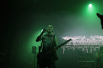 Gallery image 59