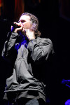 Gallery image 21