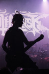 Gallery image 34