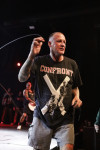 Gallery image 21