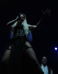 Gallery image 21