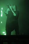 Gallery image 28