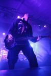 Gallery image 23