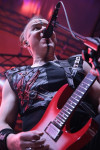 Gallery image 10
