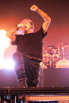 Gallery image 21